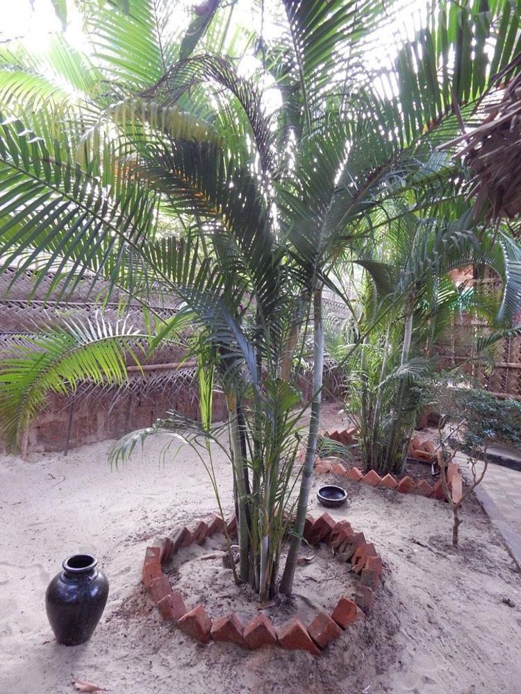 The Palm Trees Resort Patnem Beach Buitenkant foto