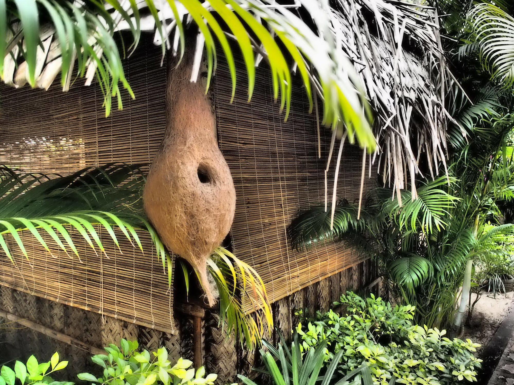 The Palm Trees Resort Patnem Beach Buitenkant foto