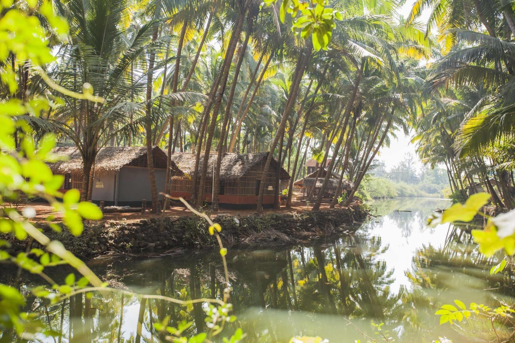 The Palm Trees Resort Patnem Beach Buitenkant foto